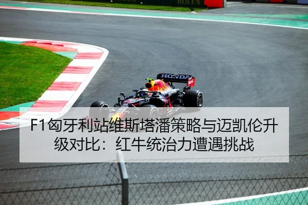 F1匈牙利站维斯塔潘策略与迈凯伦升级对比：红牛统治力遭遇挑战