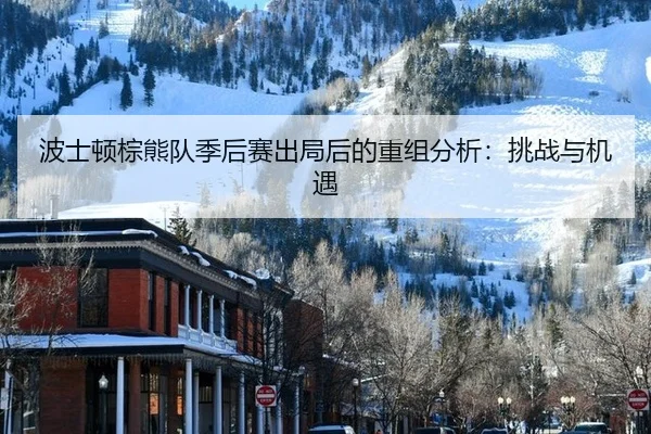 波士顿棕熊队季后赛出局后的重组分析：挑战与机遇
