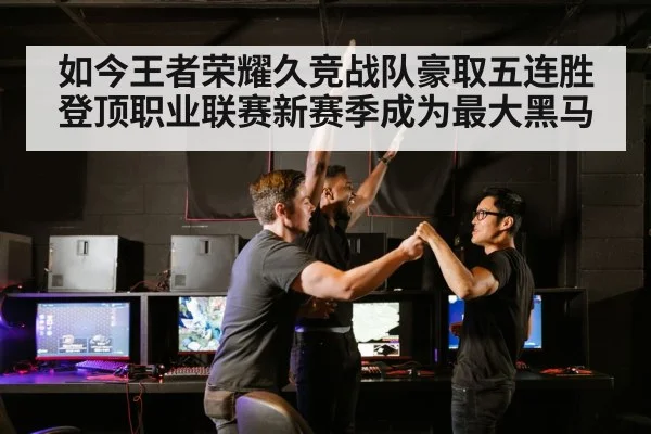 如今王者荣耀久竞战队豪取五连胜登顶职业联赛新赛季成为最大黑马