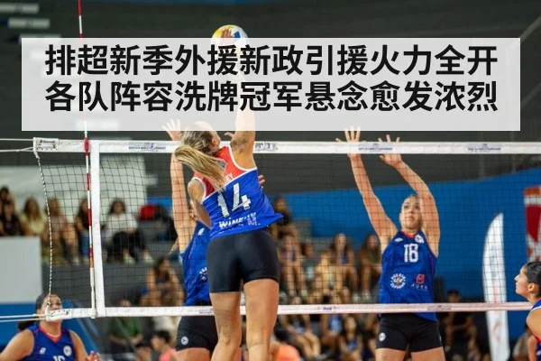 排超新季外援新政引援火力全开各队阵容洗牌冠军悬念愈发浓烈